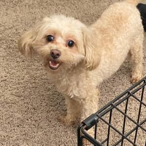 Meet your Posher, Darrell